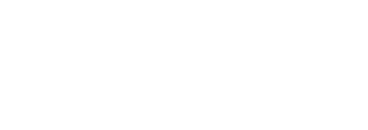 WONDER Logo